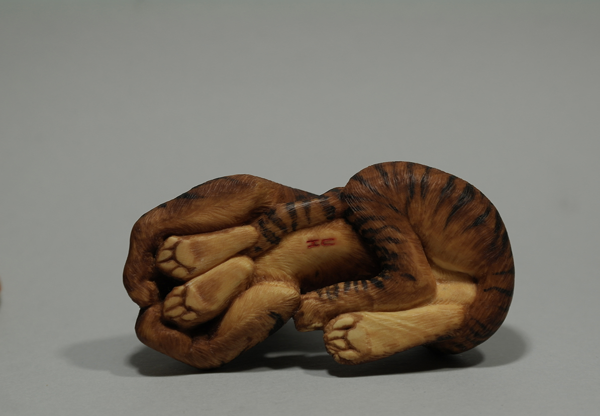 Tigress with a cub 016